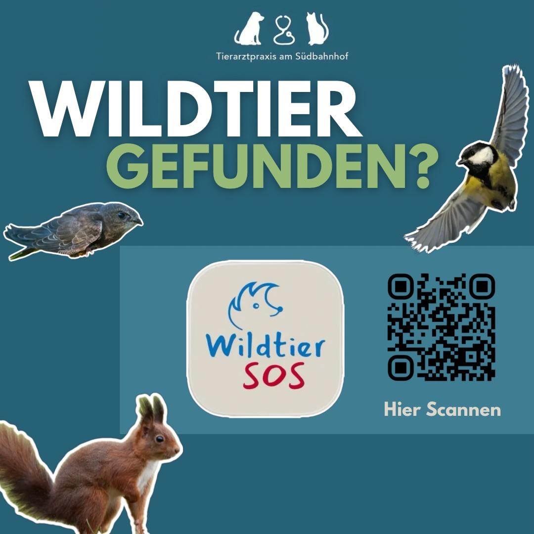Eindrücke aus der Tierarztpraxis am Südbahnhof